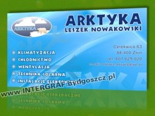 arktyka